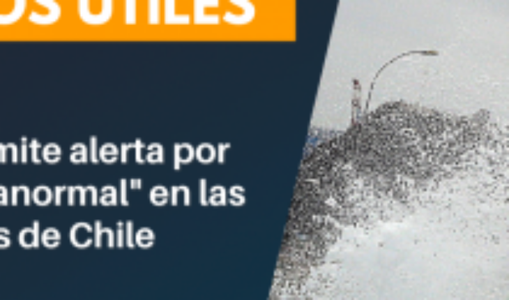 Armada emite alerta por «marejada anormal» en las costas de Chile