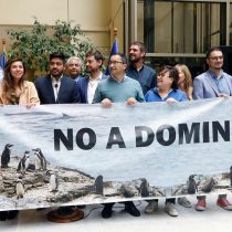 Diputados oficialistas instan a Comité de Ministros rechazar Dominga: «Un Gobierno ecológico debe decirle no»