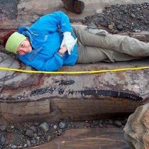 Judith Pardo, expert in Cretaceous marine reptiles: "The ichthyosauria discovered in Chile is the most complete"