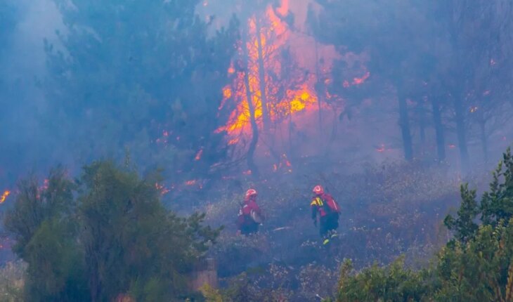 Patagonia: due to a fire on a hill in the area of El Hoyo, 58 people had to evacuate