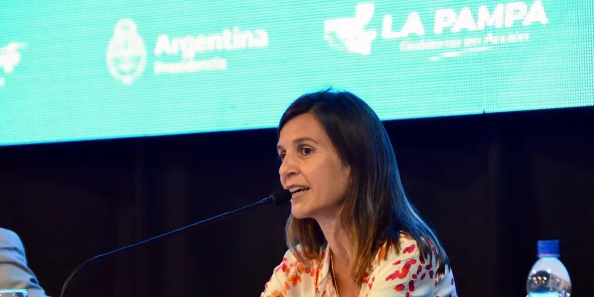 Raverta: "La oposición no fue a trabajar en diciembre y ahora los argentinos no pueden jubilarse"
