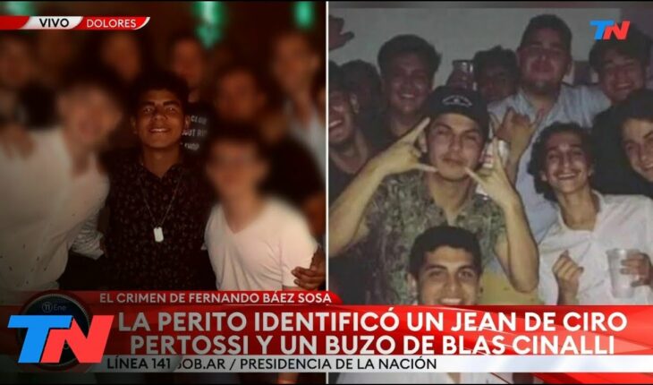 Video: JUICIO POR FERNANDO BÁEZ SOSA I Identificaron manchas de sangre en las prendas de los rugbiers