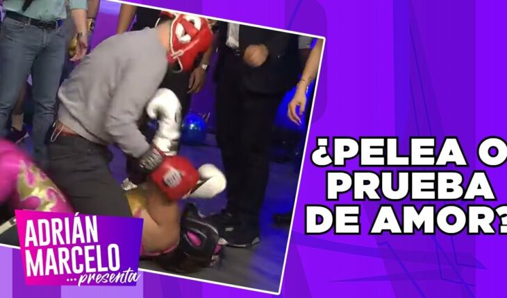 Video: Pelea de Adrián Marcelo se sale de control | Adrián Marcelo Presenta