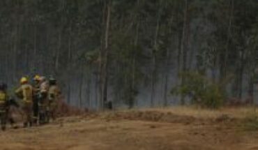 Acciones de planificación para disminuir el impacto de los incendios forestales en Chile