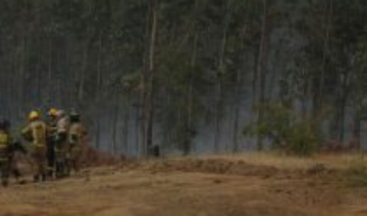 Acciones de planificación para disminuir el impacto de los incendios forestales en Chile