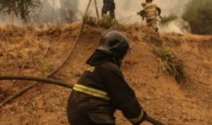 Carabineros detuvo a presunto responsable de incendio forestal en Bulnes