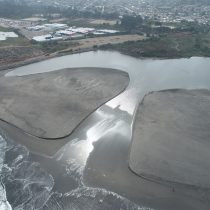 Chile needs effective protection of coastal wetlands
