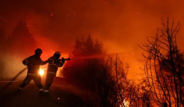 Chile: there are more than 300 outbreaks of forest fires