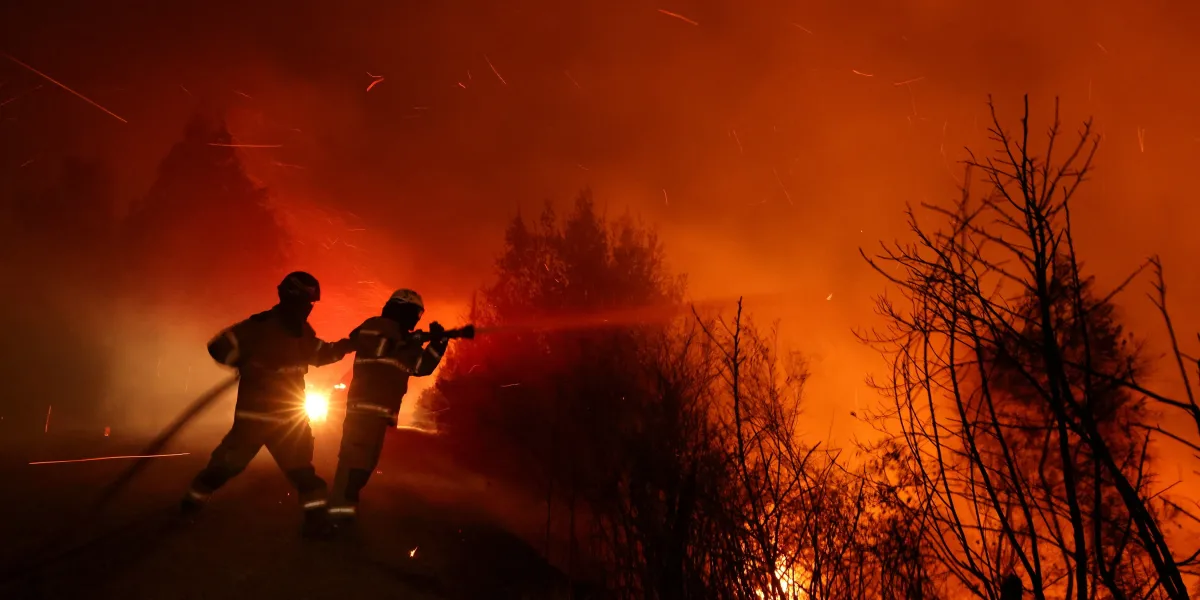 Chile: there are more than 300 outbreaks of forest fires