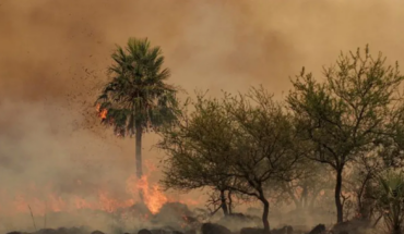 Corrientes, Entre Ríos, Chubut and Formosa maintain active forest fires