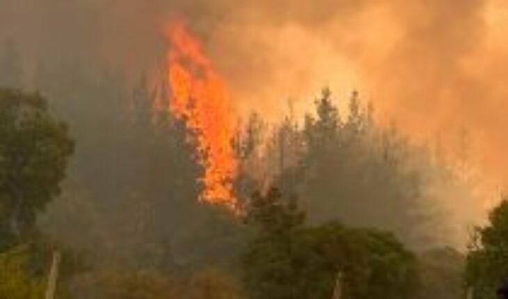 Gobierno por incendios forestales: “No existe capacidad en estos momentos de catastro de las viviendas afectadas”