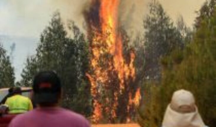 Hacienda calcula costo de los incendios forestales en zona centro sur del país: asciende a US$ 309 millones