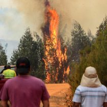Hacienda calcula costo de los incendios forestales en zona centro sur del país: asciende a US$ 309 millones