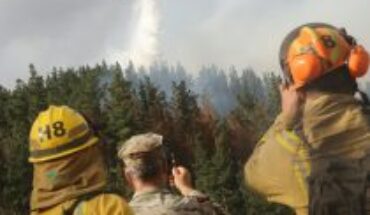 Incendios forestales cobran nueva víctima en región del Biobío y fallecidos totales llegan a 26
