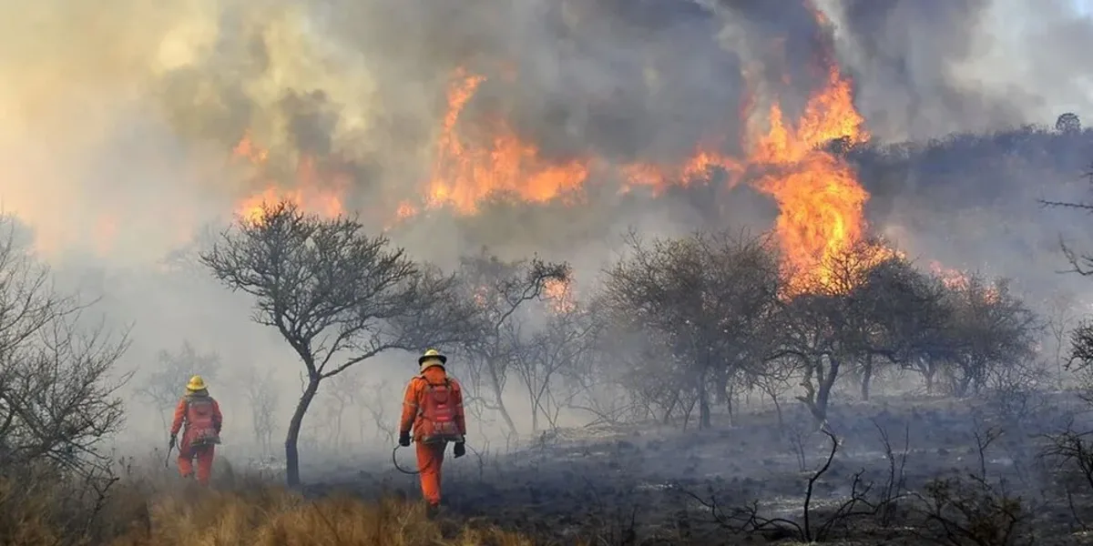 Incendios forestales: siete focos activos bajo un clima desesperante
