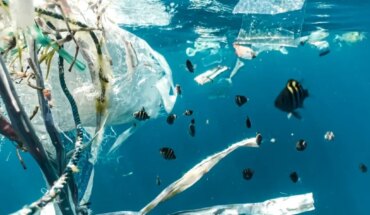 Más del 70% de los residuos censados en las playas bonaerenses continúan siendo plásticos
