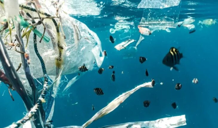 Más del 70% de los residuos censados en las playas bonaerenses continúan siendo plásticos