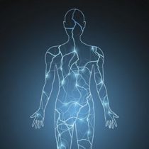 Qué es el «electroma», la red bioeléctrica del cuerpo humano que puede revolucionar el tratamiento del cáncer y de las heridas