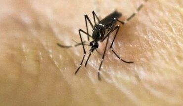 Se registraron casos de dengue en cinco provincias y la Ciudad de Buenos Aires