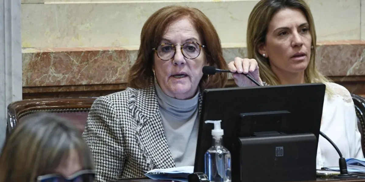 Tras romper con el FdT, la senadora afirmó que Fernández "no tiene ninguna chance de ser reelecto"