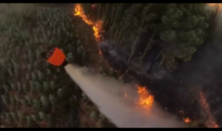 Video demuestra la pericia que se requiere para maniobrar un helicóptero que combate los incendios forestales