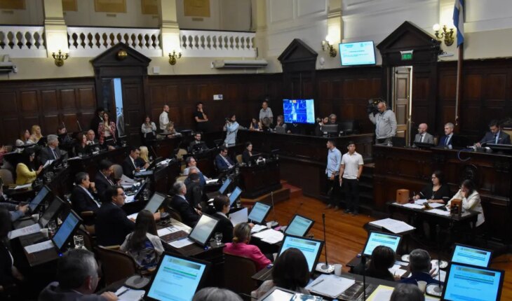 La Cámara de Diputados de Mendoza aprobó un proyecto para que los mapuches no sean considerados pueblos originarios