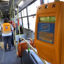 Public transport in Santiago: evasion in two dimensions