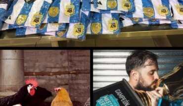Resumen: confirman un nuevo caso de gripe aviar en Neuquén, Papo es el campeón de FMS Argentina, Aduana secuestró 302 camisetas de fútbol, El reclamo millonario de Dybala a Juventus y mucho más…