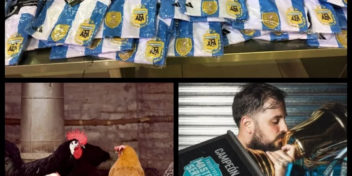 Resumen: confirman un nuevo caso de gripe aviar en Neuquén, Papo es el campeón de FMS Argentina, Aduana secuestró 302 camisetas de fútbol, El reclamo millonario de Dybala a Juventus y mucho más...