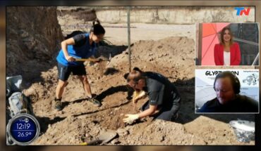 Video: Hallazgo en Mar del Plata: encontraron los restos de un gliptodonte del tamaño de un auto