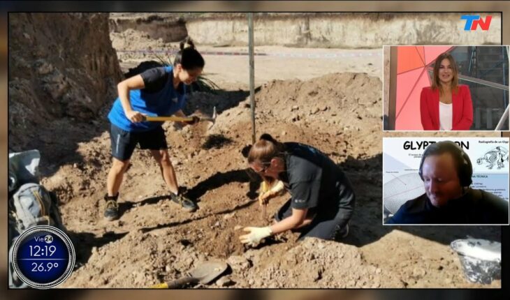 Video: Hallazgo en Mar del Plata: encontraron los restos de un gliptodonte del tamaño de un auto