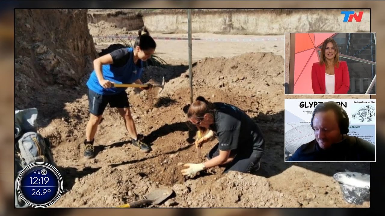 Hallazgo en Mar del Plata: encontraron los restos de un gliptodonte del tamaño de un auto