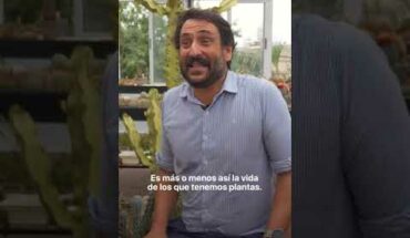 Video: “Siembro, luego existo”: la historia del hombre que tiene un invernadero de cactus en Floresta