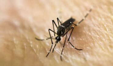 Argentina “vive brote más grande de dengue” y Rosario “es la más complicada”