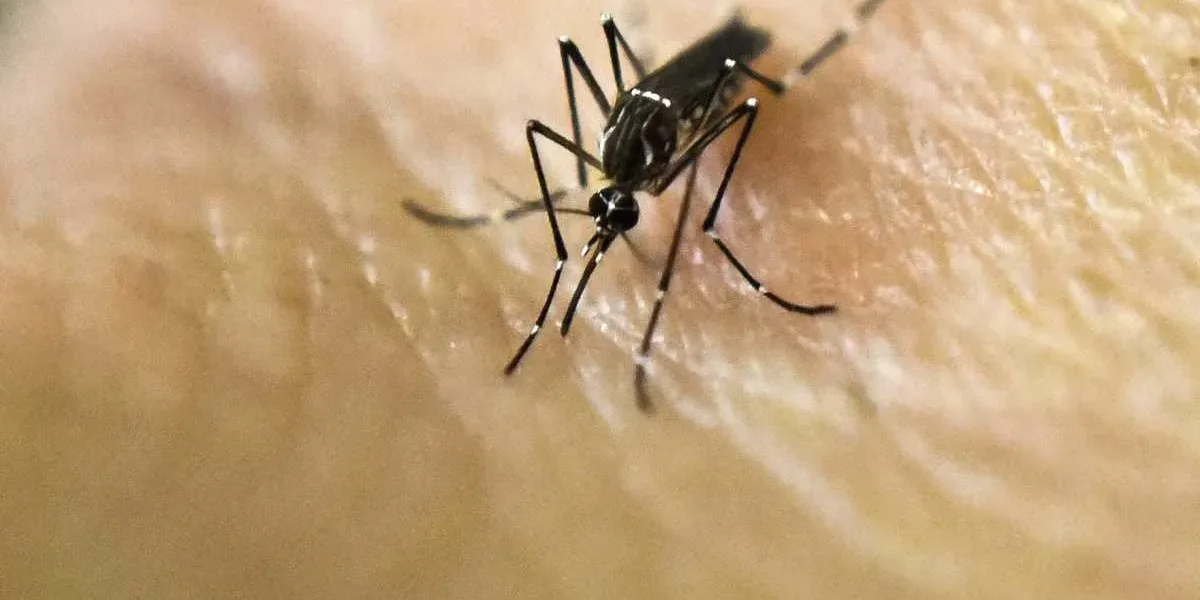 Córdoba: murió la primera paciente con dengue de esta temporada