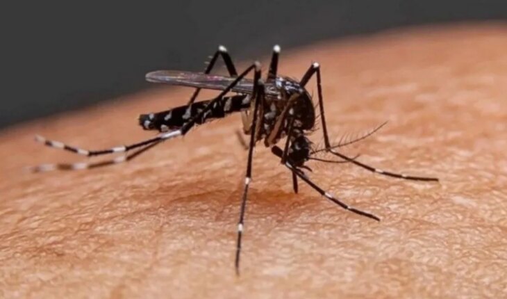 La ANMAT aprobó el uso de una vacuna contra el dengue