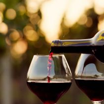 Los vinos y cocktails que están marcando tendencia en la llegada del otoño