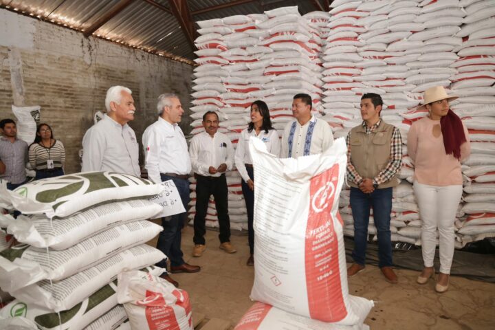 Producers in Ario, Nuevo Urecho and Salvador Escalante receive fertilizer from the Governor
