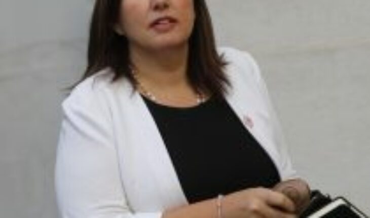 Timonel PS Paulina Vodanovic critica a alcaldesa Irací Hassler: «Tiene que tomar medidas, las señales no bastan»