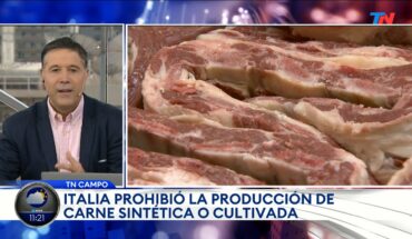 Video: CAMPO I Italia prohibió la producción de carne cultivada