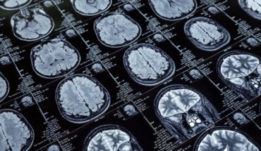 Neurocientíficos entrenan una AI para que pueda leer la mente