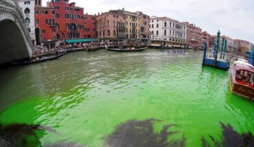 Venecia: el Gran Canal amaneció teñido de verde