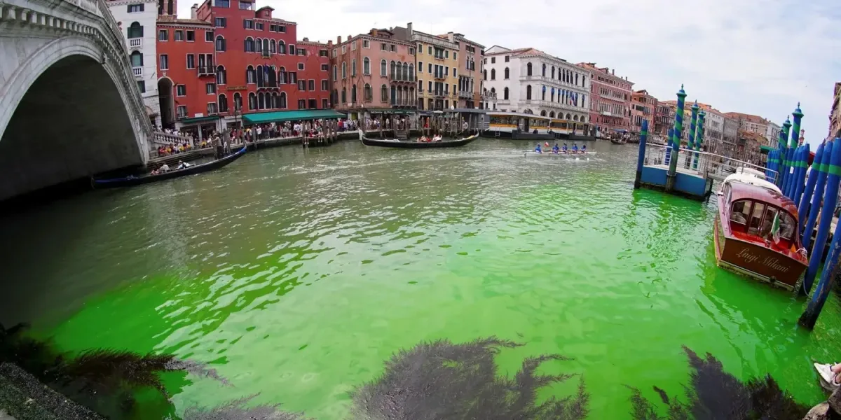 Venecia: el Gran Canal amaneció teñido de verde