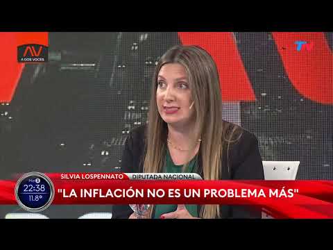 "No hay plan económico" Silvia Lospennato, diputada nacional