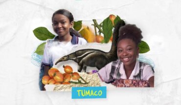 Video: #UNICEFAZULADO | Tumaco – UNICEF busca que la infancia vuelva a las aulas | Capítulo 2