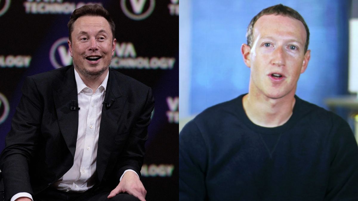 Elon Musk Mark Zuckerberg fight