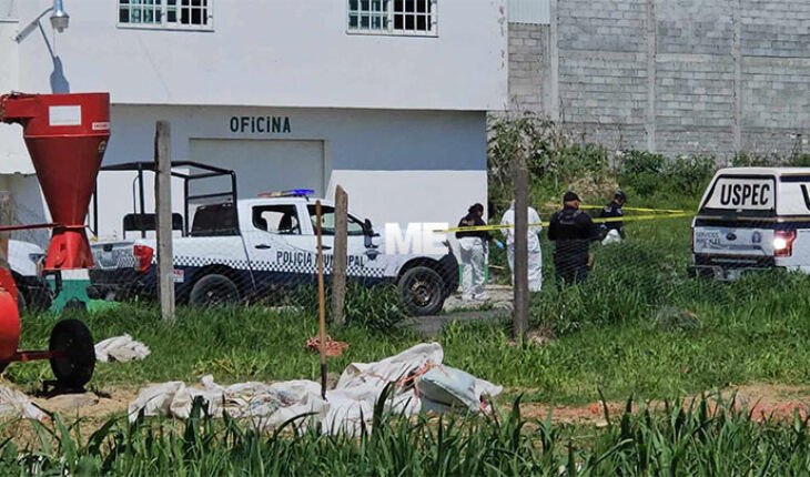 Encuentran a hombre asesinado en Singuio, Álvaro Obregón