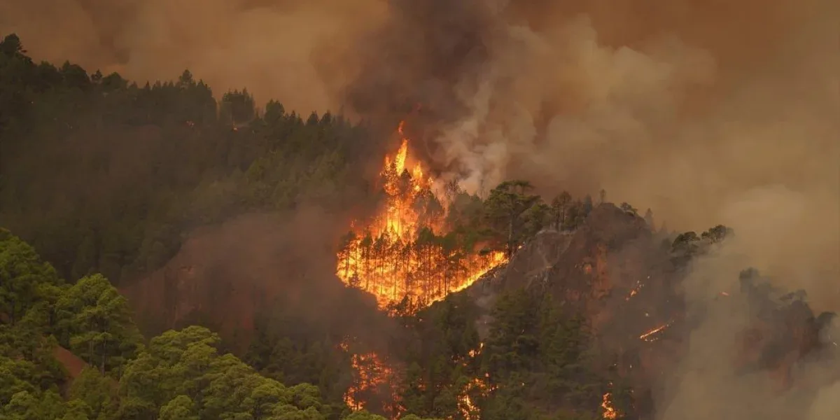 Incendios forestales en España: la cifra de evacuados ascendió a 26 mil