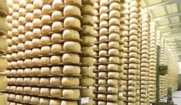 Tragedia en Italia: Un hombre murió aplastado por 15 mil ruedas de queso
