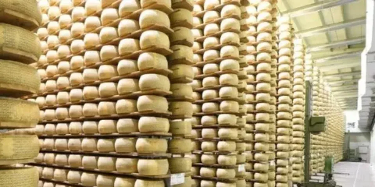 Tragedia en Italia: Un hombre murió aplastado por 15 mil ruedas de queso